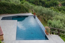 2piscina-forma-libera-montevettolini.jpg